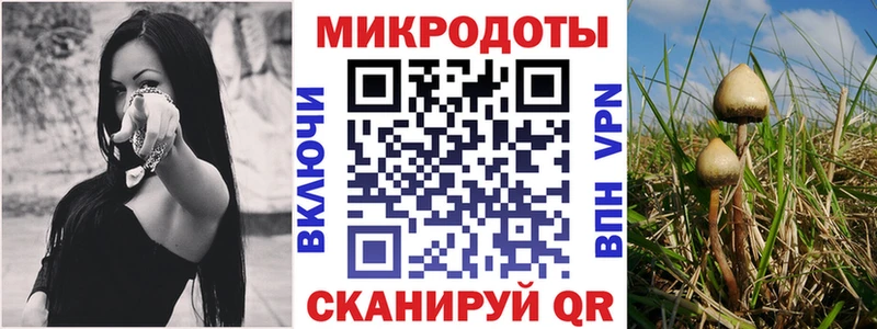 Псилоцибиновые грибы мицелий  Купить где  Апшеронск 